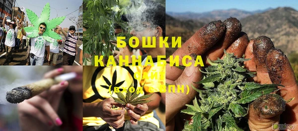 тгк Нефтекумск
