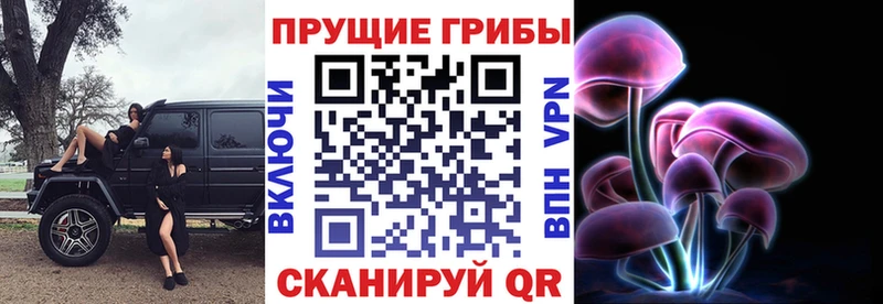 Псилоцибиновые грибы GOLDEN TEACHER  Печора 