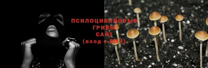 даркнет сайт  Печора  Псилоцибиновые грибы Psilocybe 