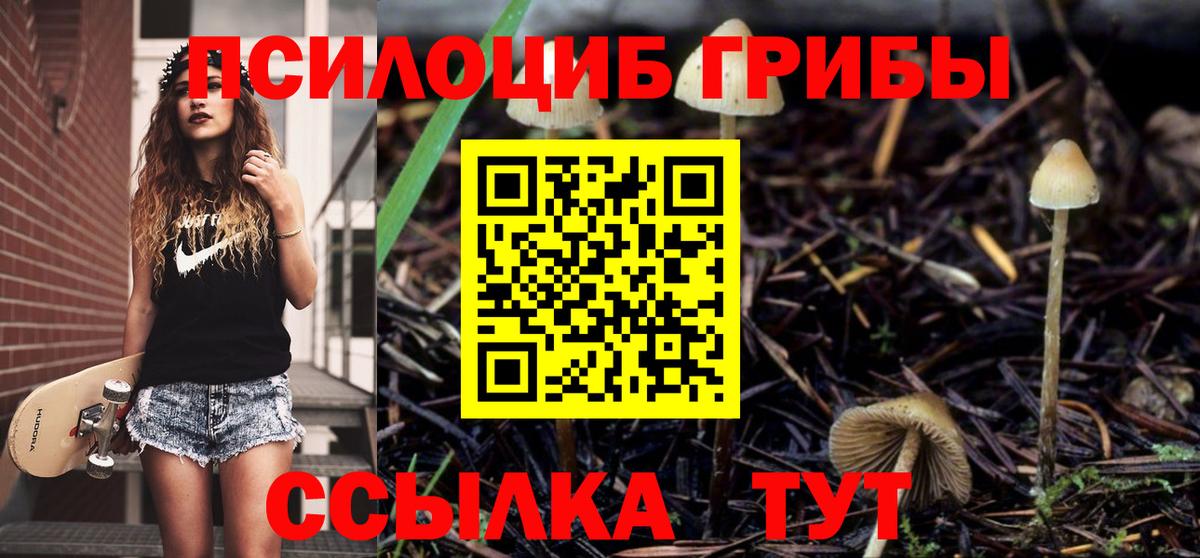 Галлюциногенные грибы мицелий Печора