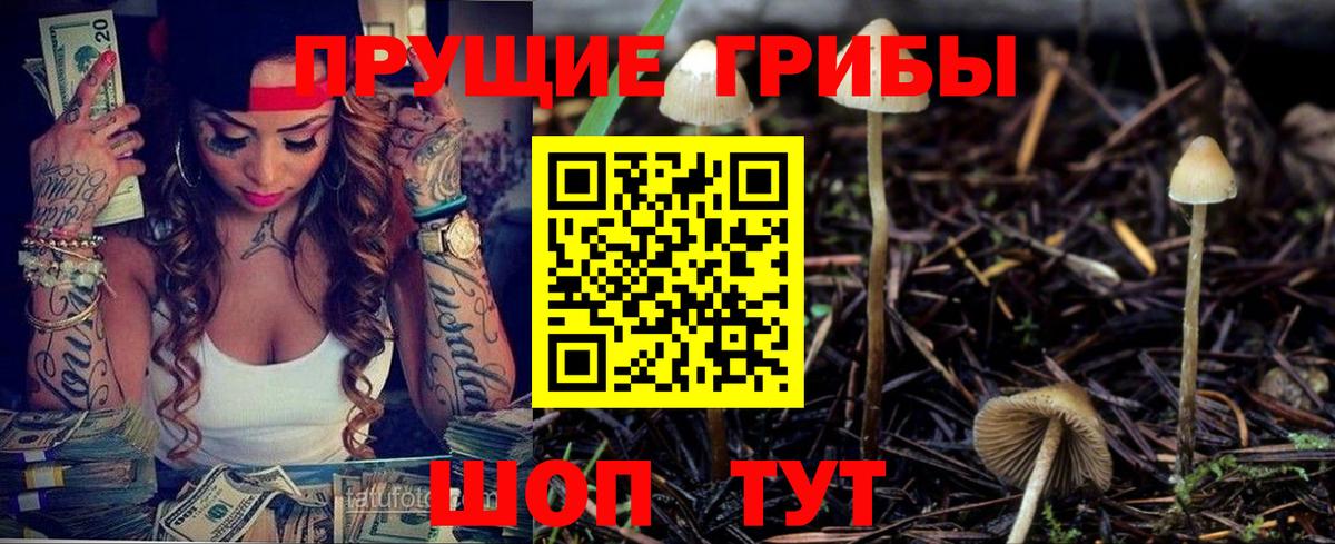 хочу   Вход с VPN  Печора  Галлюциногенные грибы Magic Shrooms  Галлюциногенные грибы GOLDEN TEACHER 