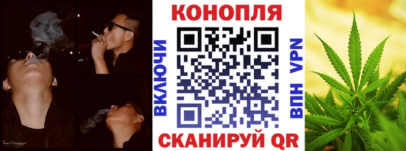 Канабис OG Kush omg Печора